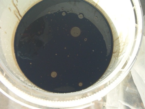 cytosol-fuel oil layer in bucket of water.jpg